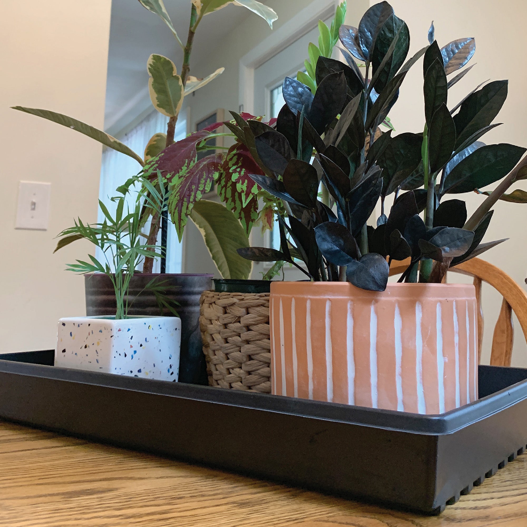 A black watertight plastic plant tray with a geometric pattern, designed for seed starting.